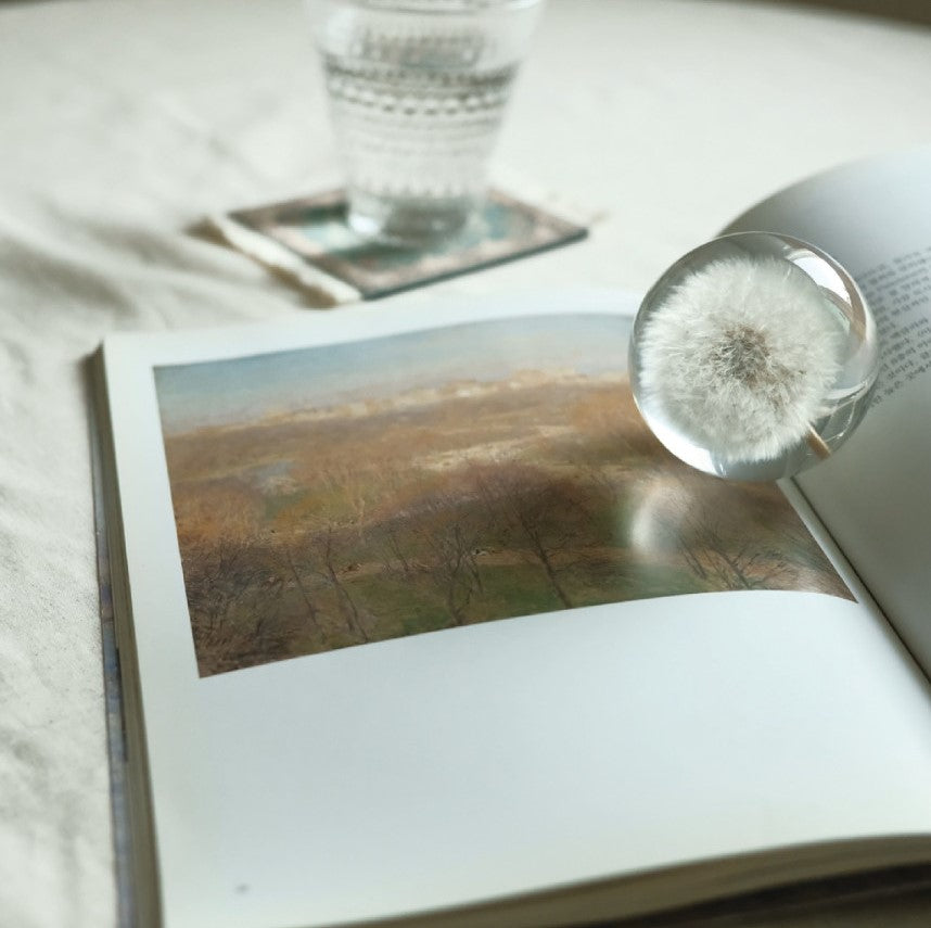 Real Dandelion Paperweight